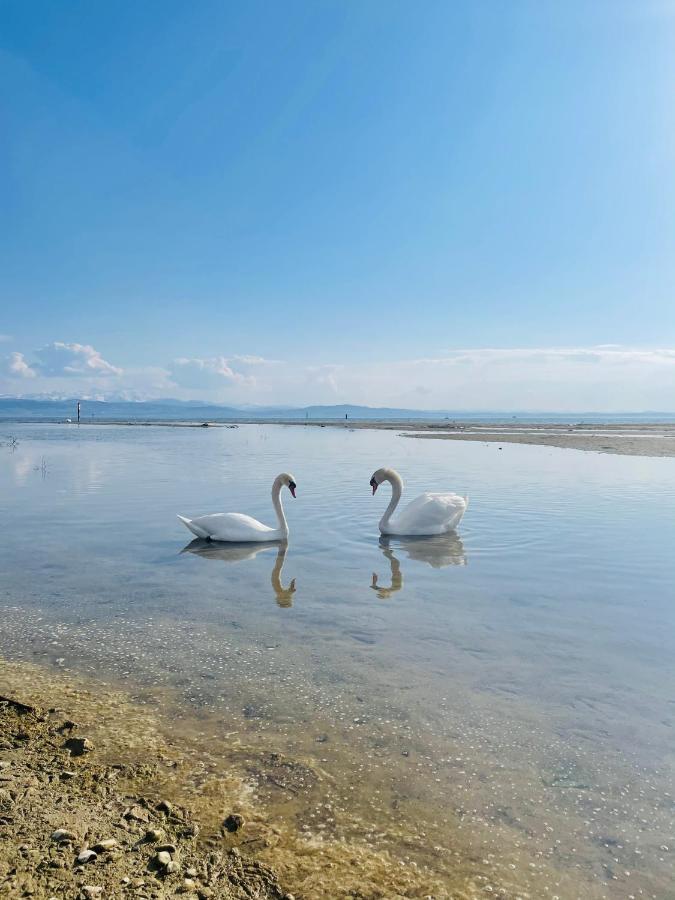 " Sunshine Am See " FDH Exterior foto
